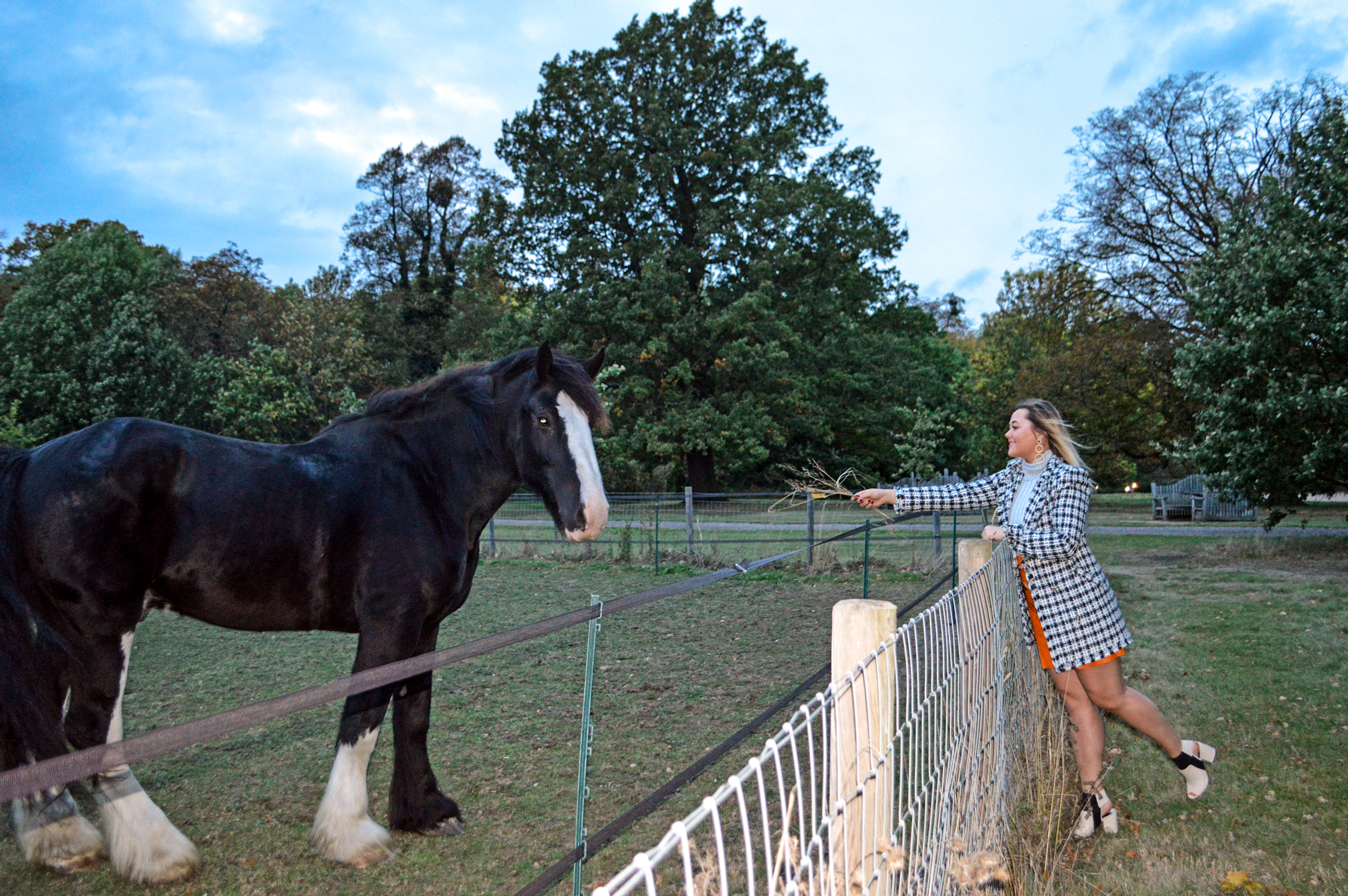 Hannah strokes a horse's nose. Wearing grey ankle boots, black and white check boucle jacket and orange faux leather skirt, all by River Island